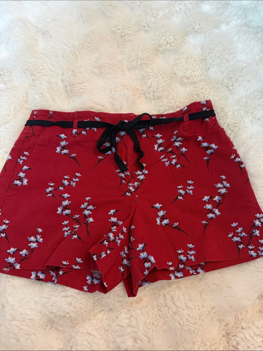 LOFT Red Floral High-Waist Shorts with Black Drawstring